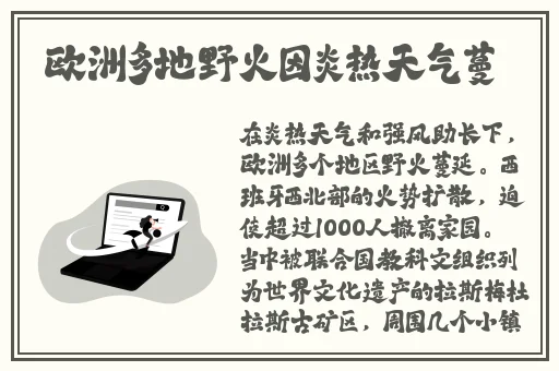 幸福的一家无删减全文阅读
